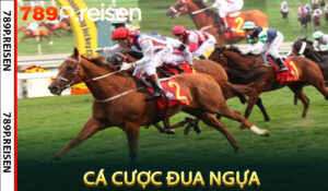 Cá Cược Đua Ngựa