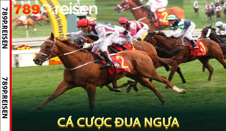 Cá Cược Đua Ngựa