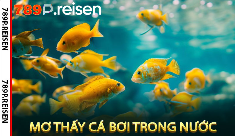 Mơ thấy cá bơi trong nước